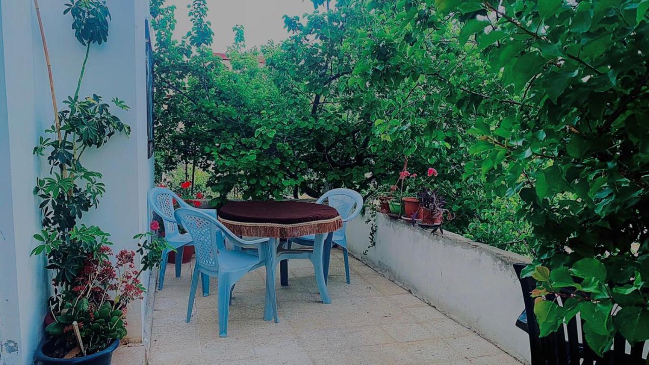 Jerash Canopy Dżarasz Zewnętrze zdjęcie